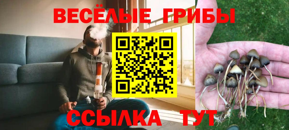 Минусинск  Псилоцибиновые грибы Psilocybine cubensis  Вход с VPN  Псилоцибиновые грибы мухоморы 