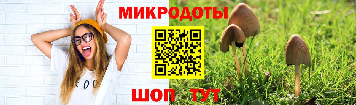 Псилоцибиновые грибы GOLDEN TEACHER Минусинск